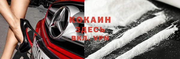 прущие грибы Балабаново