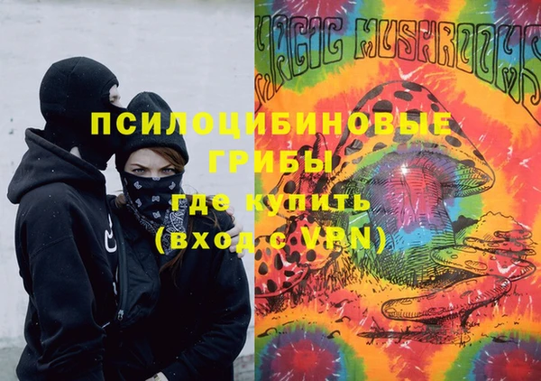 прущие грибы Балабаново