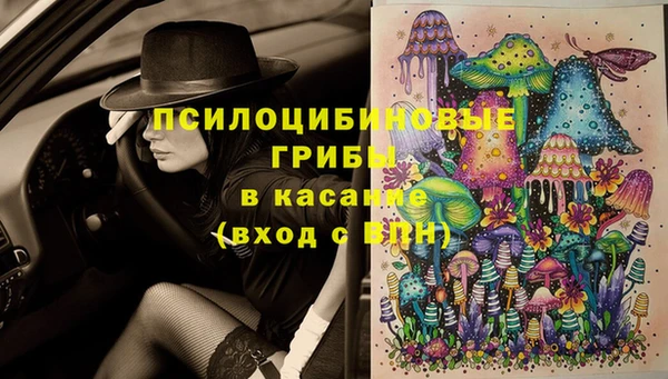 прущие грибы Балабаново