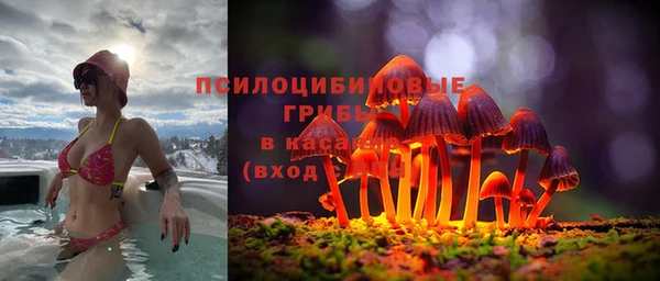 прущие грибы Балабаново