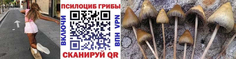 Галлюциногенные грибы Psilocybine cubensis  площадка Telegram  Гдов 