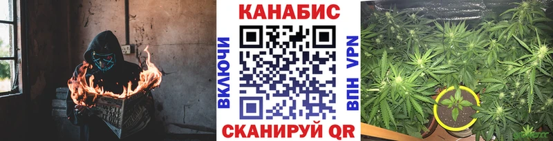 KRAKEN как войти купить наркотик Гдов Канабис Amnesia